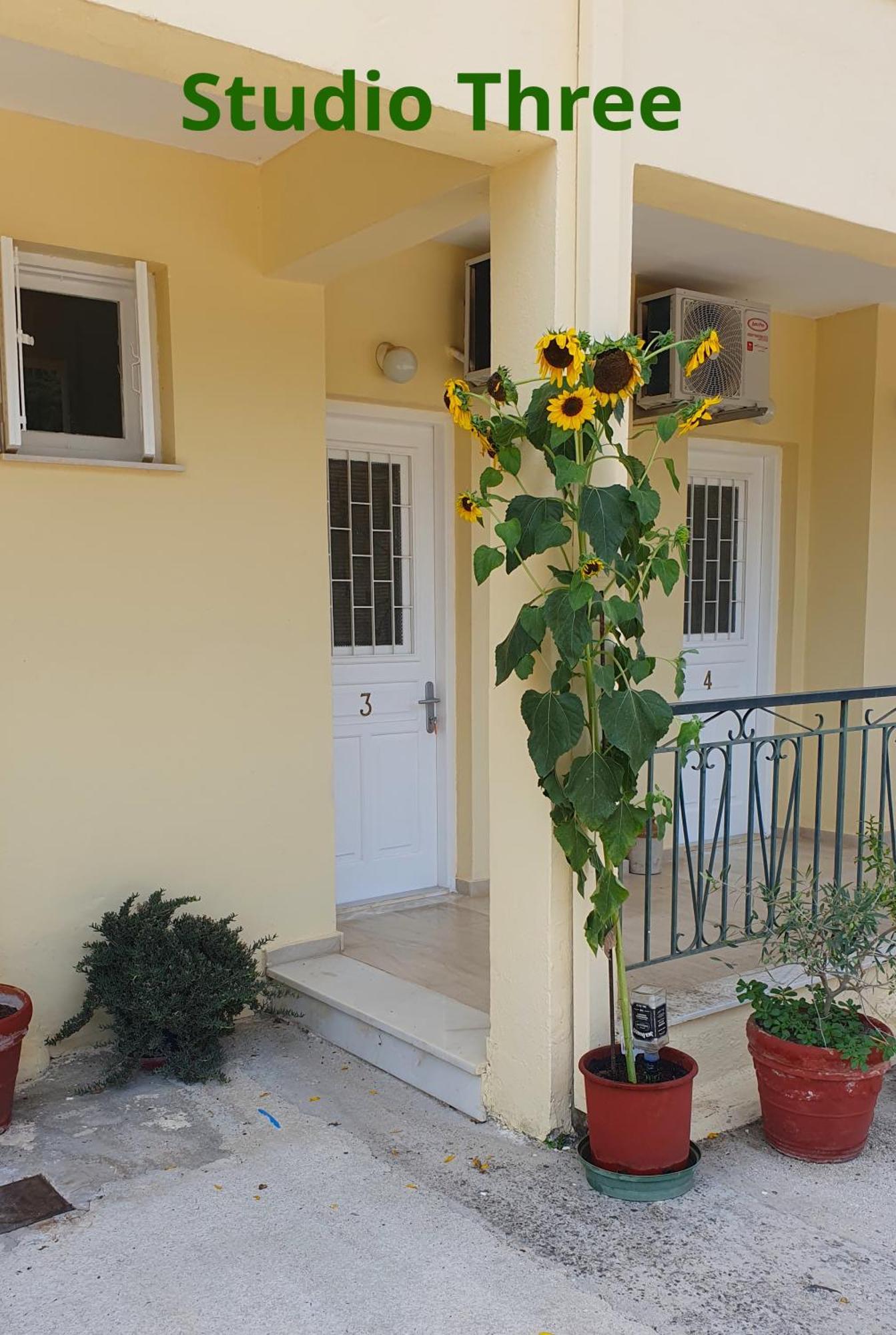 Kivotos Villa Studios Roda  Exterior photo